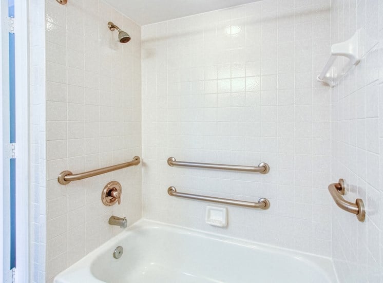 bath and shower with multiple grab bars