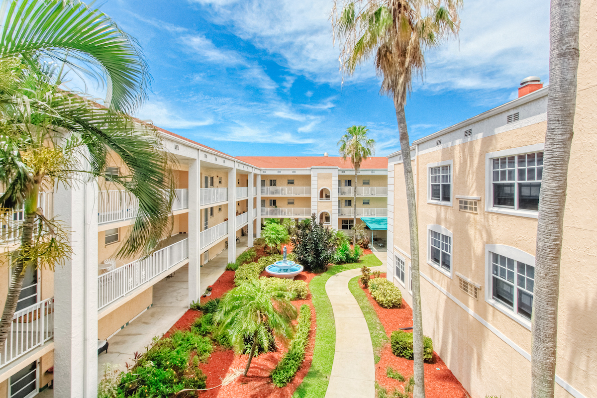 towering palms in courtyard between residential buildings