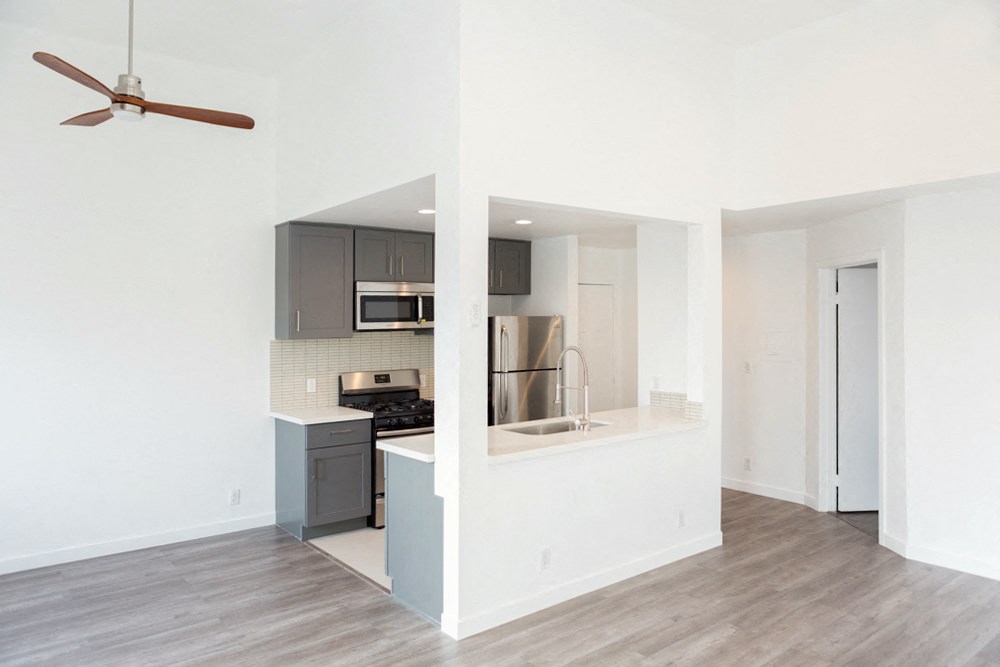Gallery Photo 5