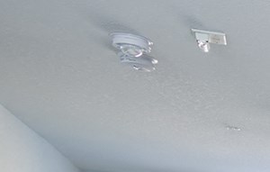 The District | Apartments in Asheville, NC