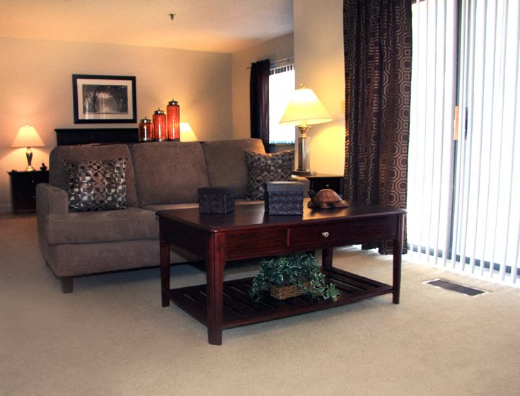 Gallery Photo 11