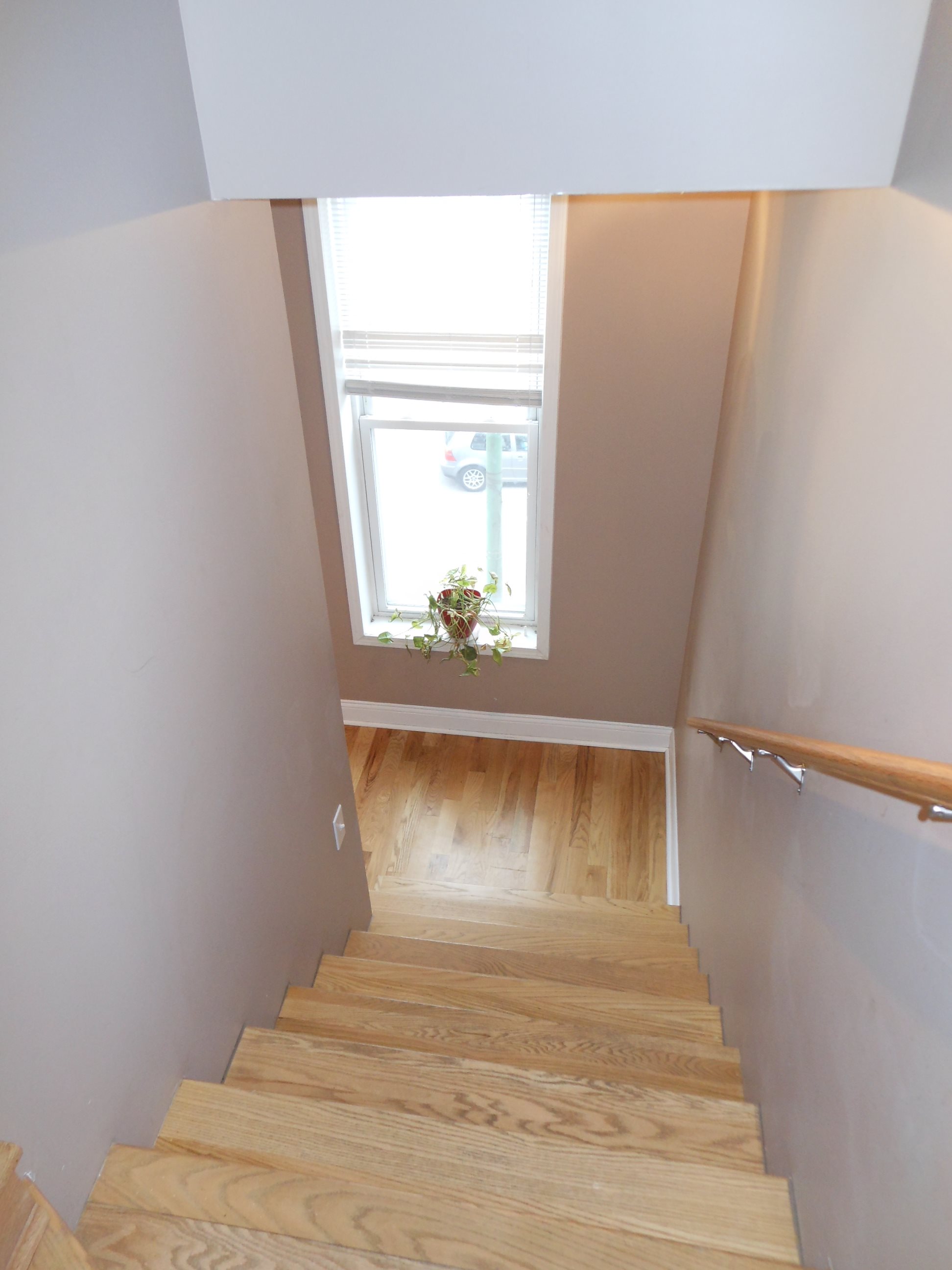 Gallery Photo 4