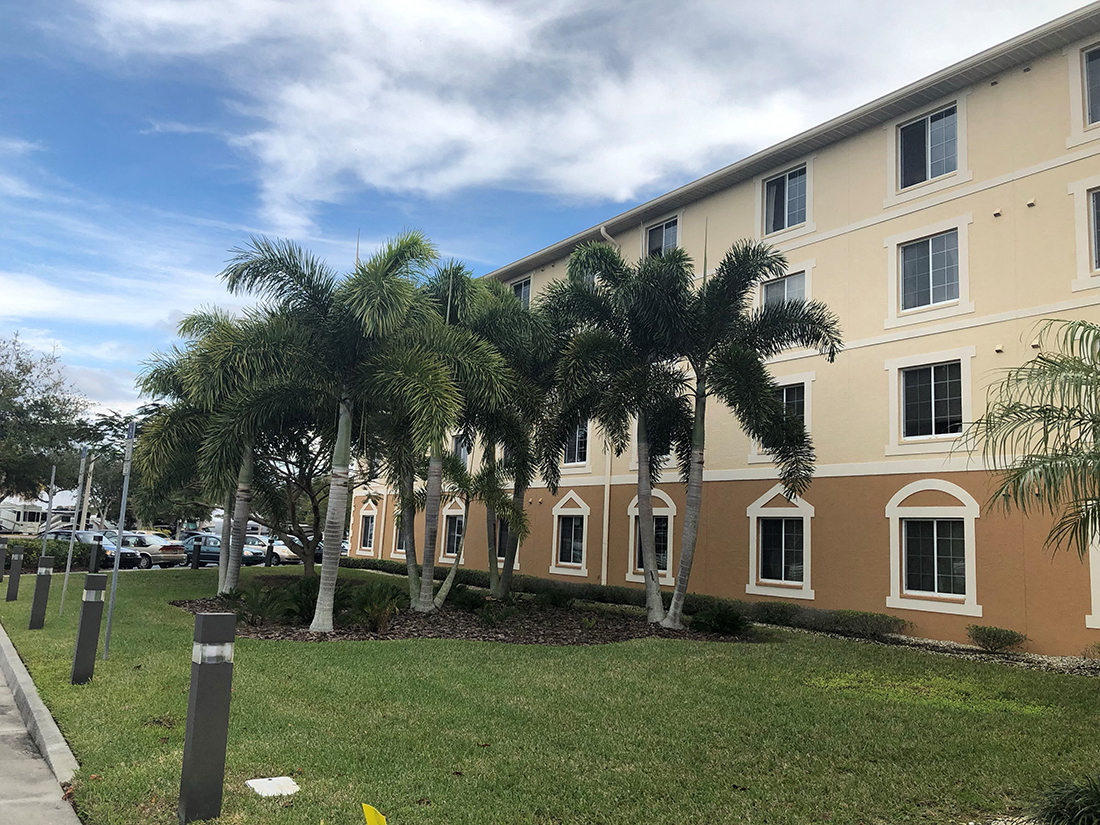 stately palms line our senior apartments for rent in venice, fl