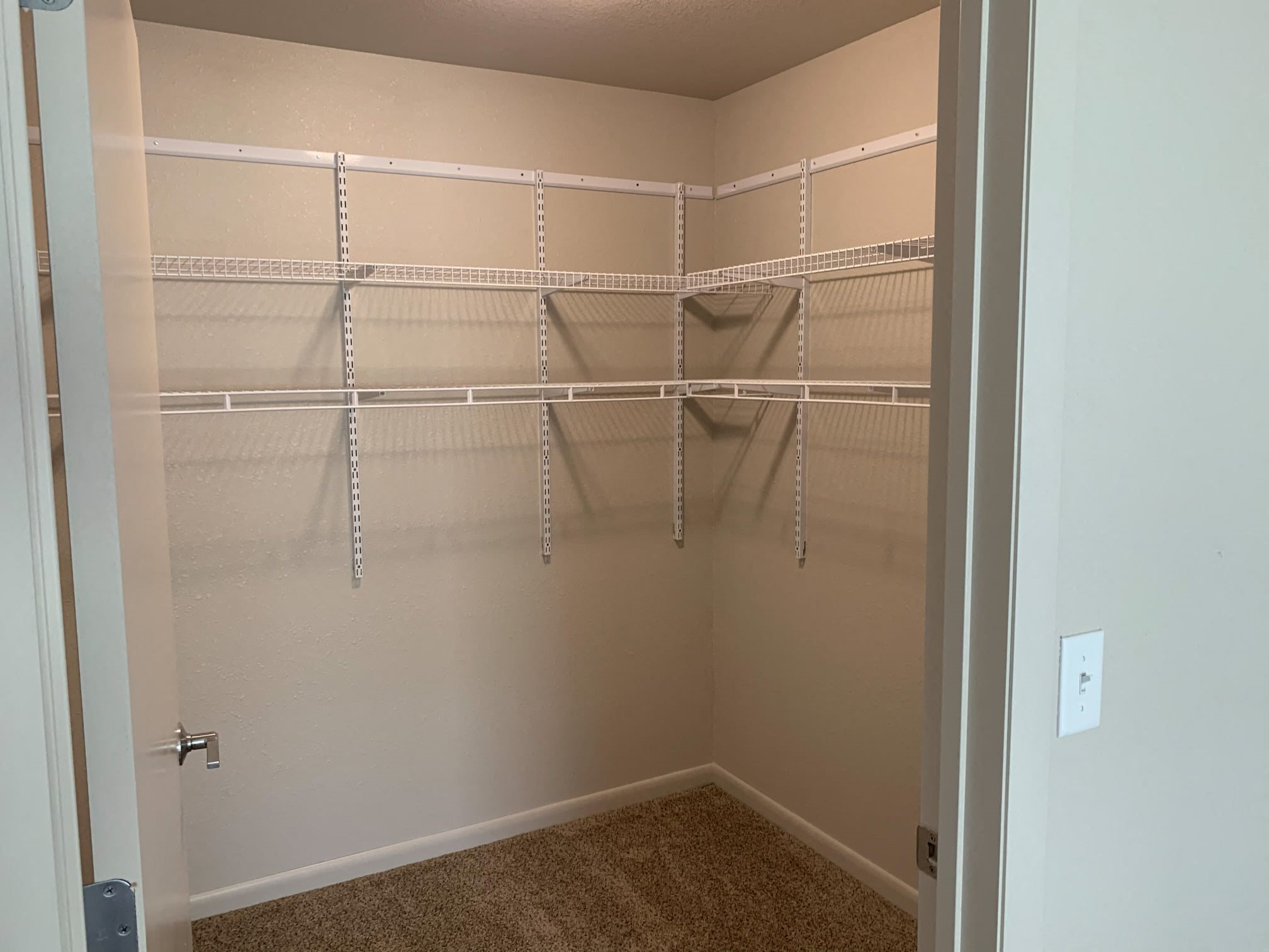 Gallery Photo 11