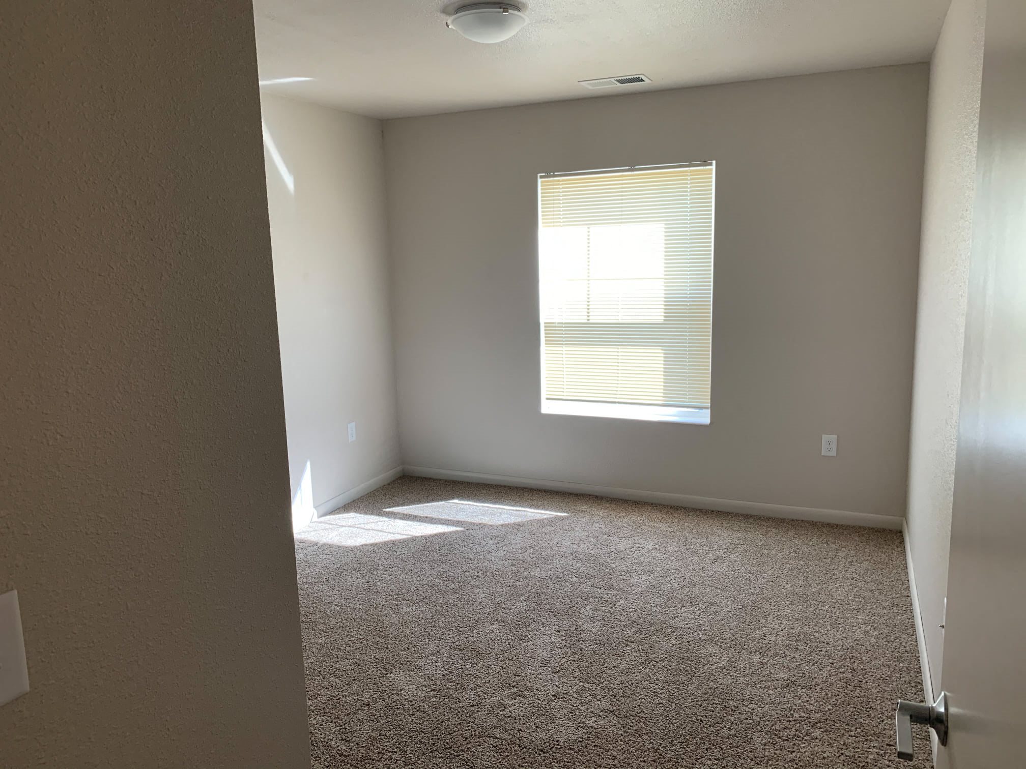 Gallery Photo 7