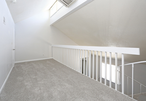 raleigh now leasing apartments newly renovated