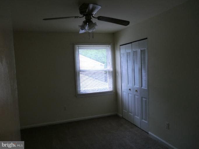 Gallery Photo 4
