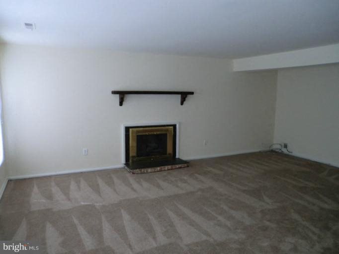 Gallery Photo 3
