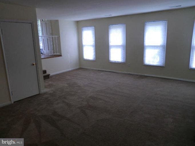 Gallery Photo 2