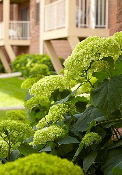 Westwind Apartments