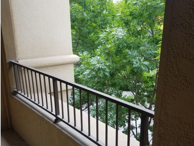 Patio/Balcony view of tree lined street