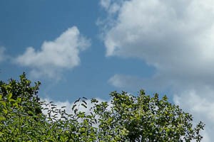 Fairways of Naperville Apartments Grounds