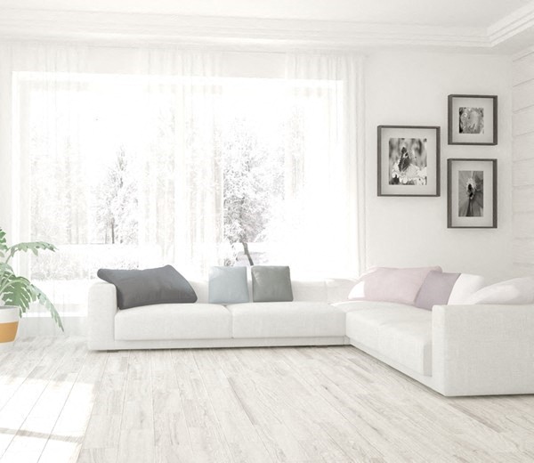 Gallery Photo 1