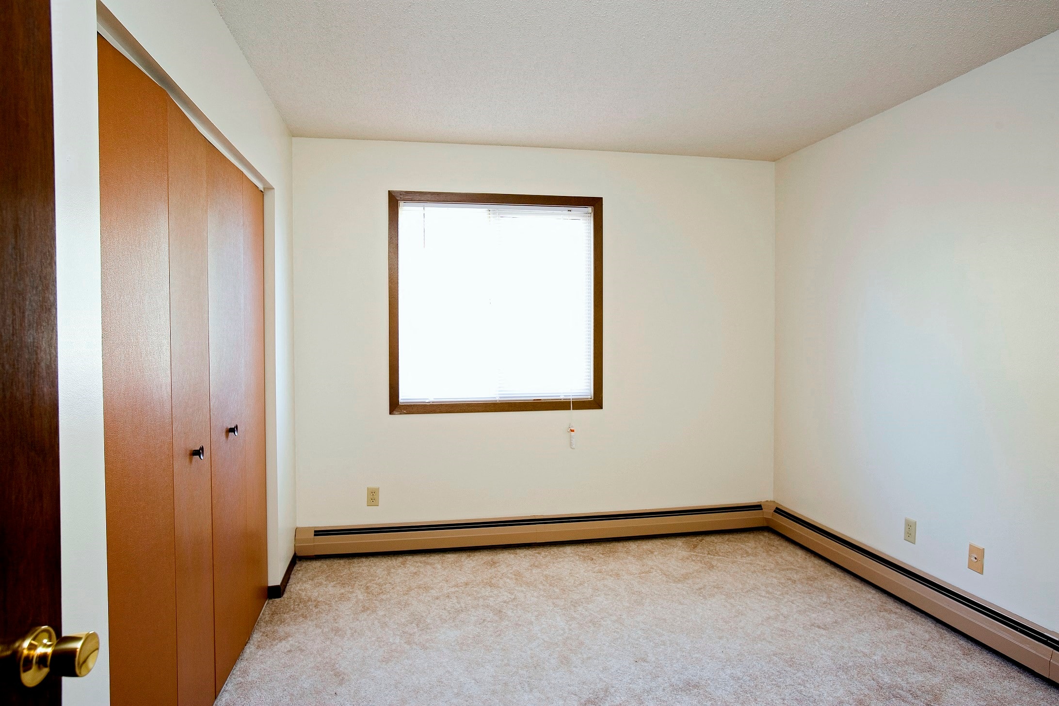 Gallery Photo 5