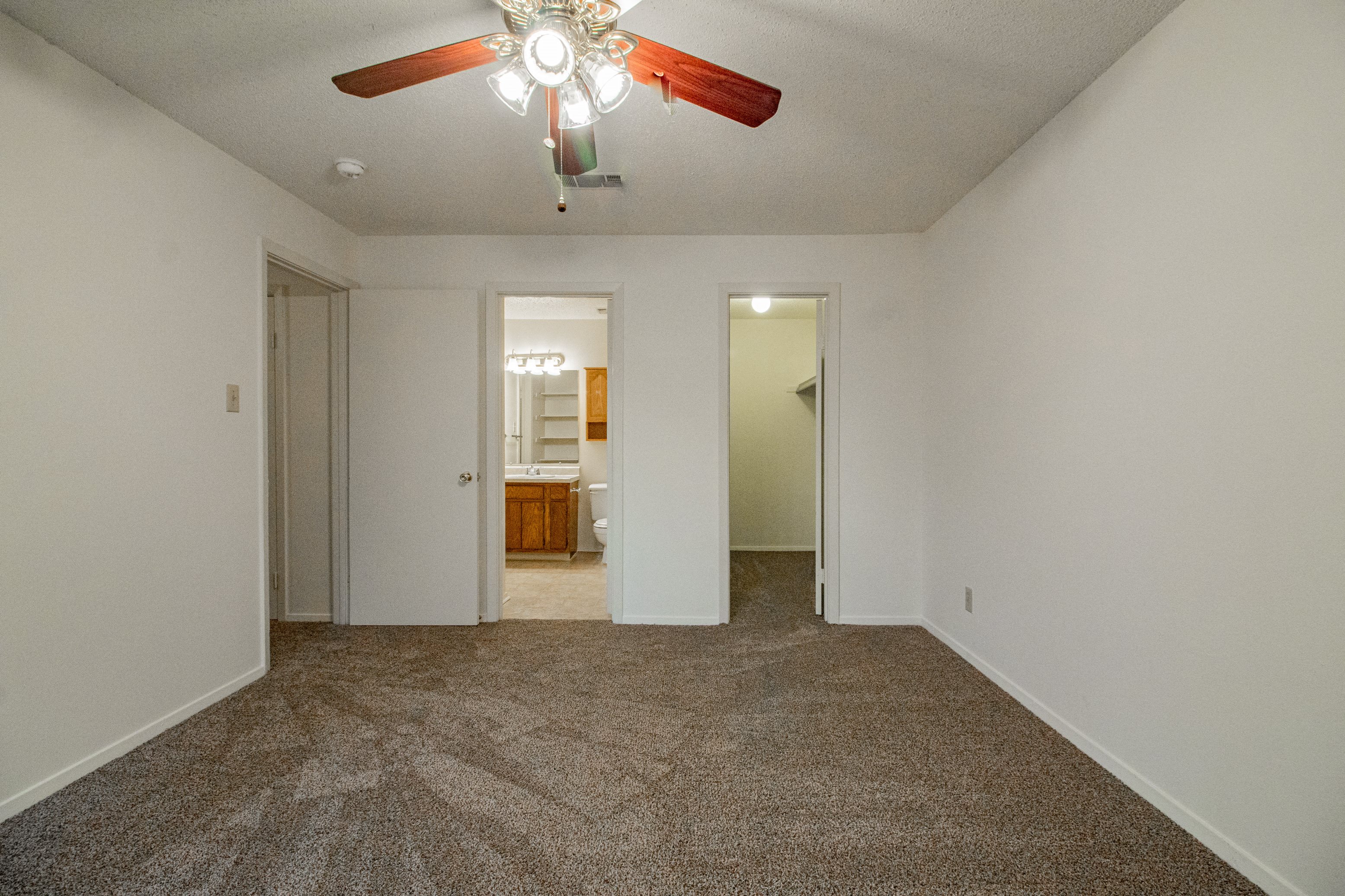Gallery Photo 13