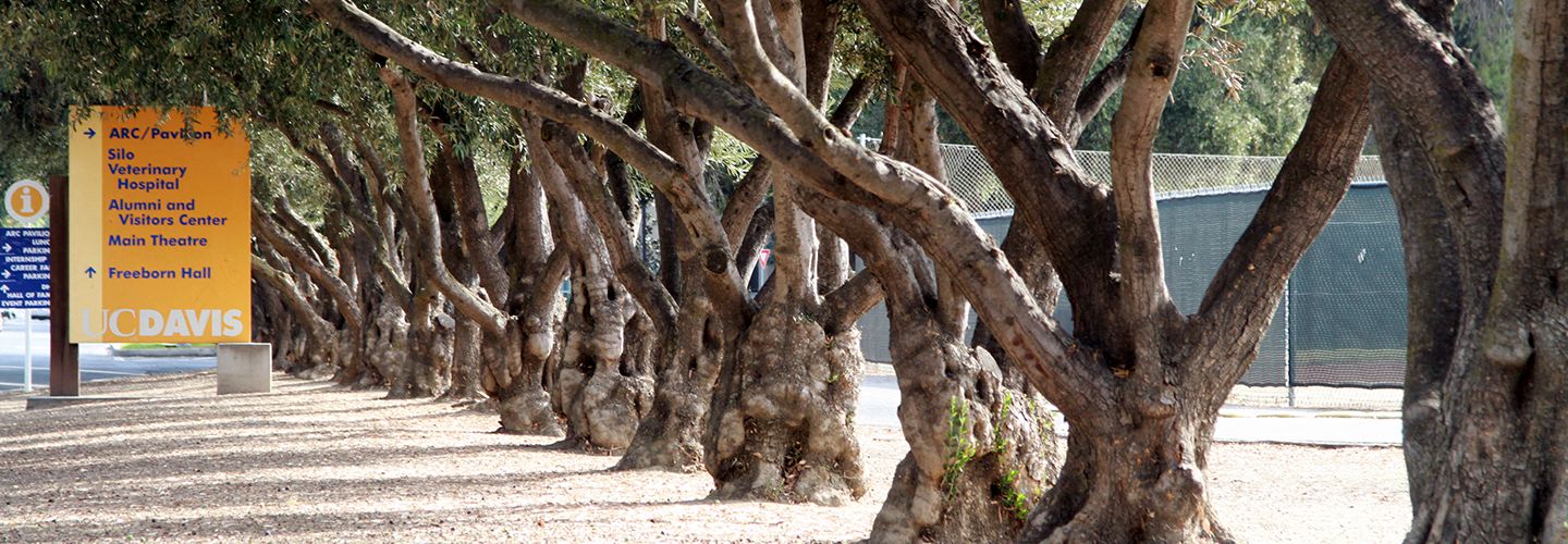 Russell Park Apartments Apartments in Davis, CA RENTCafe