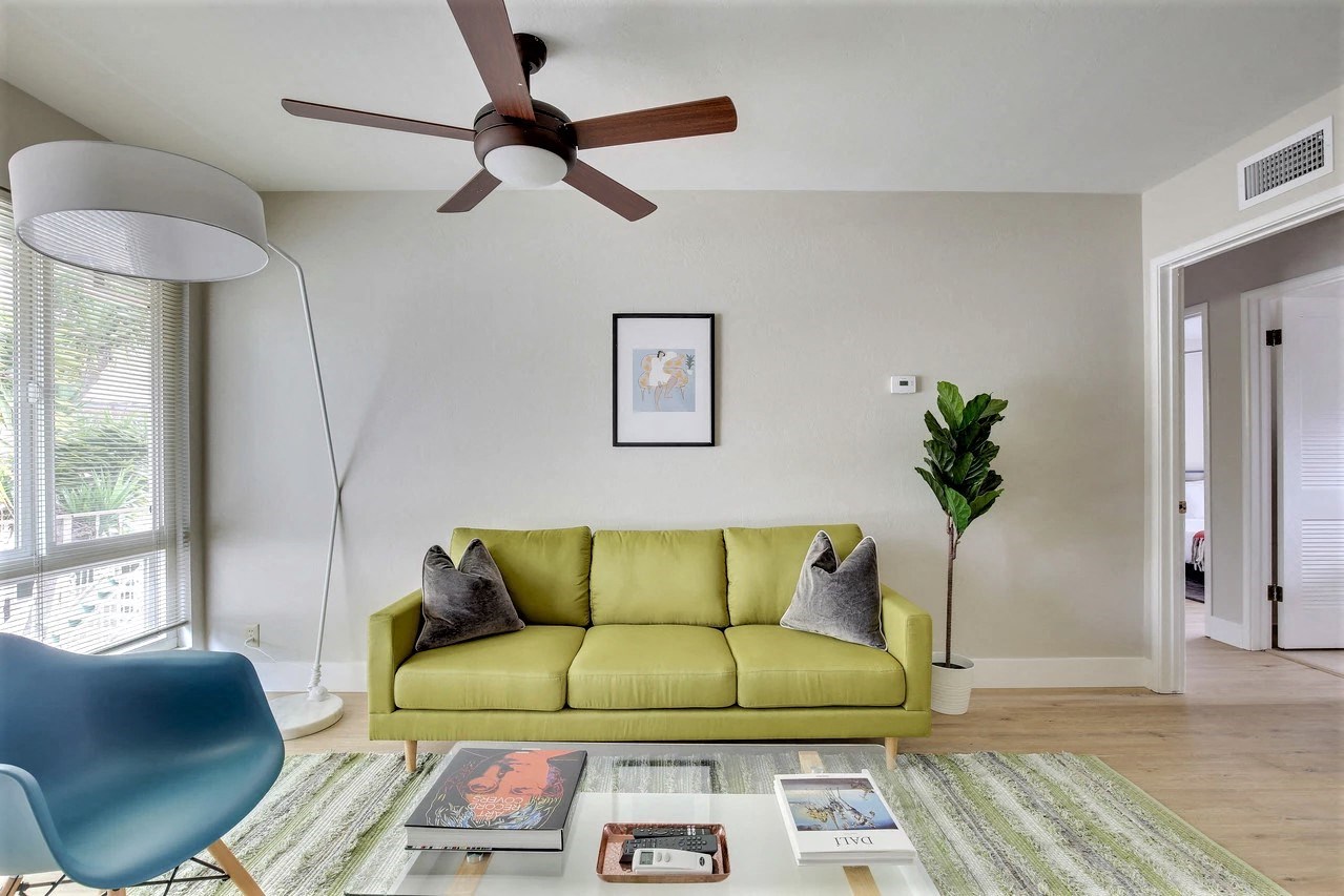 Gallery Photo 41