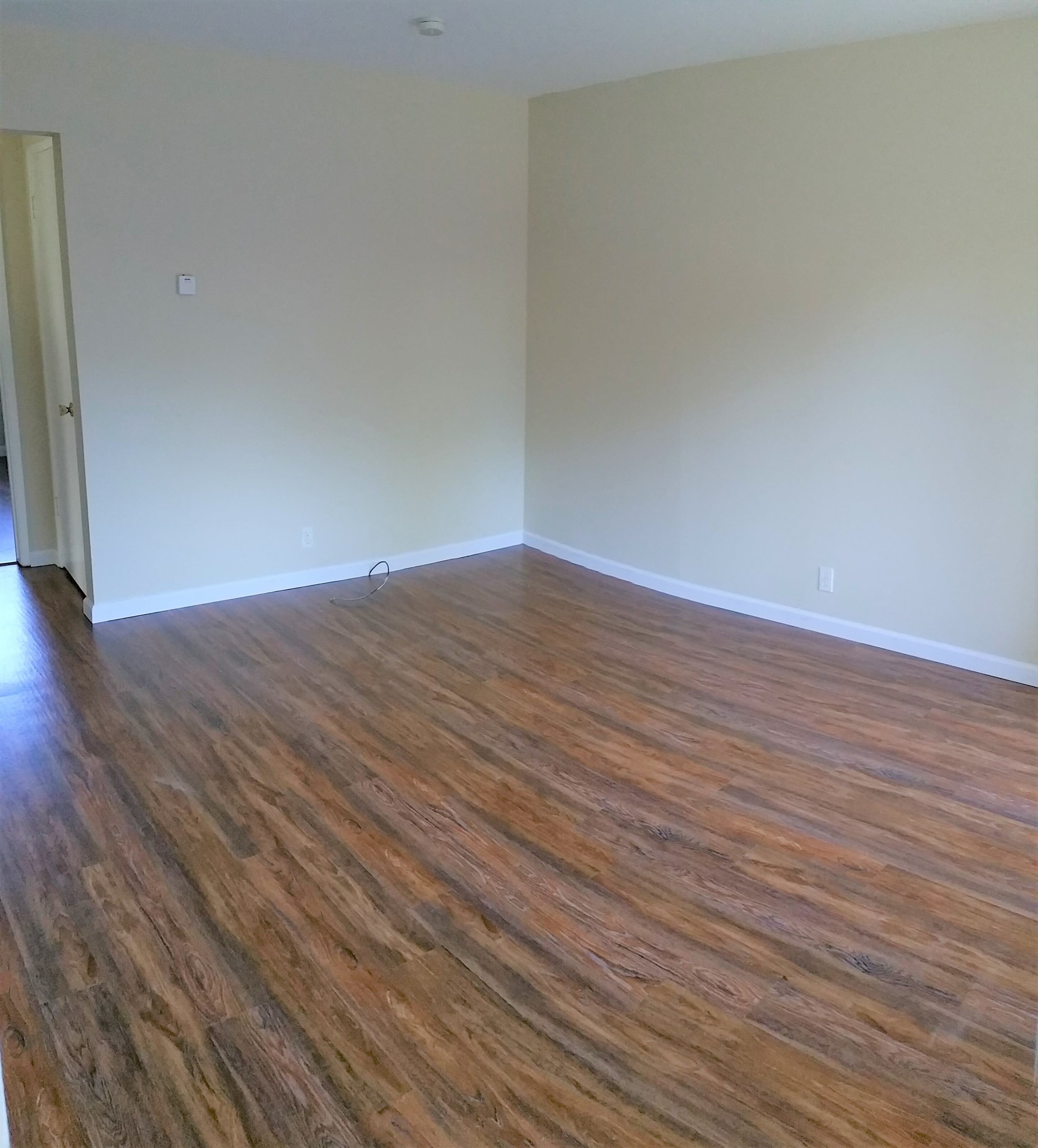 Gallery Photo 7