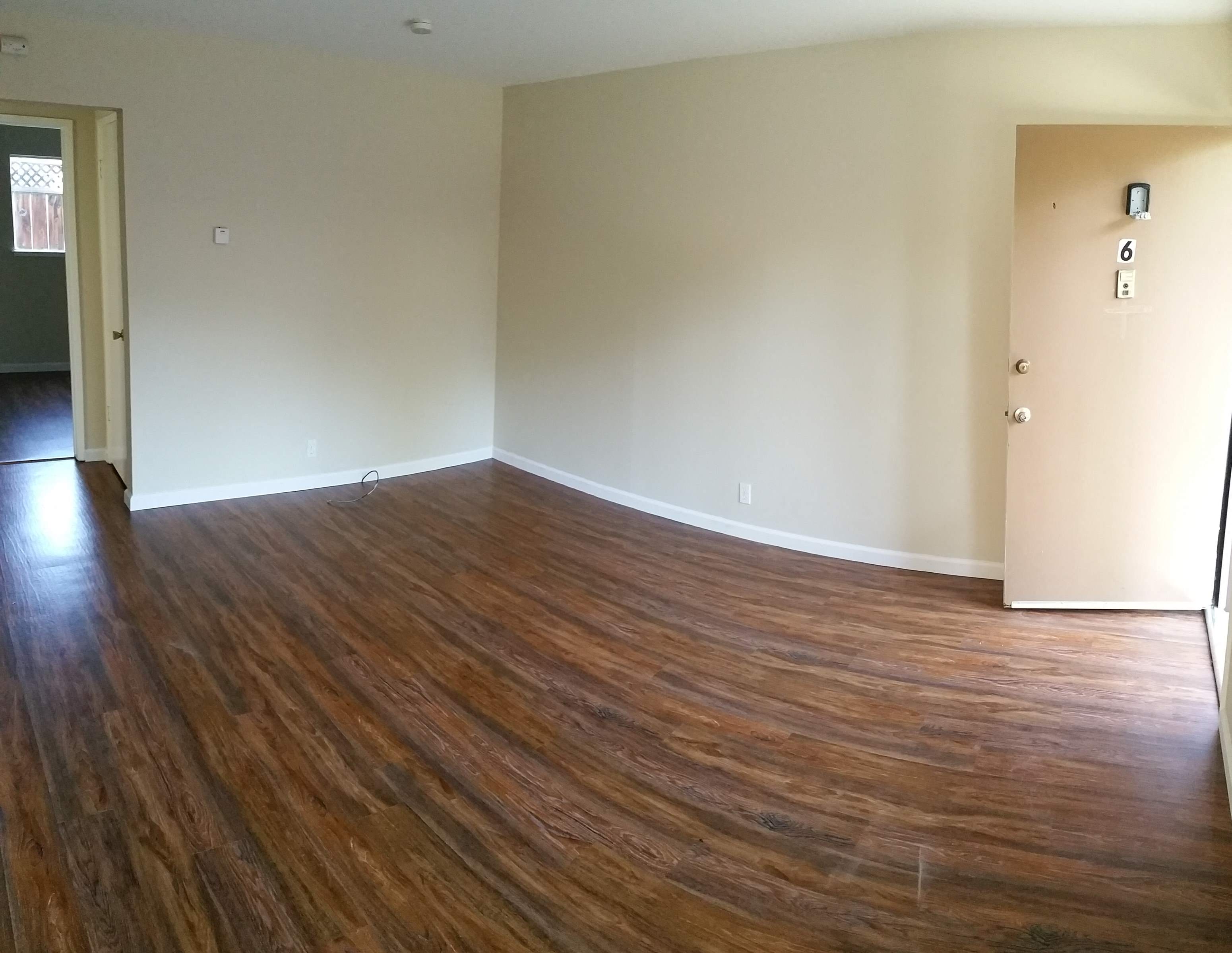 Gallery Photo 4