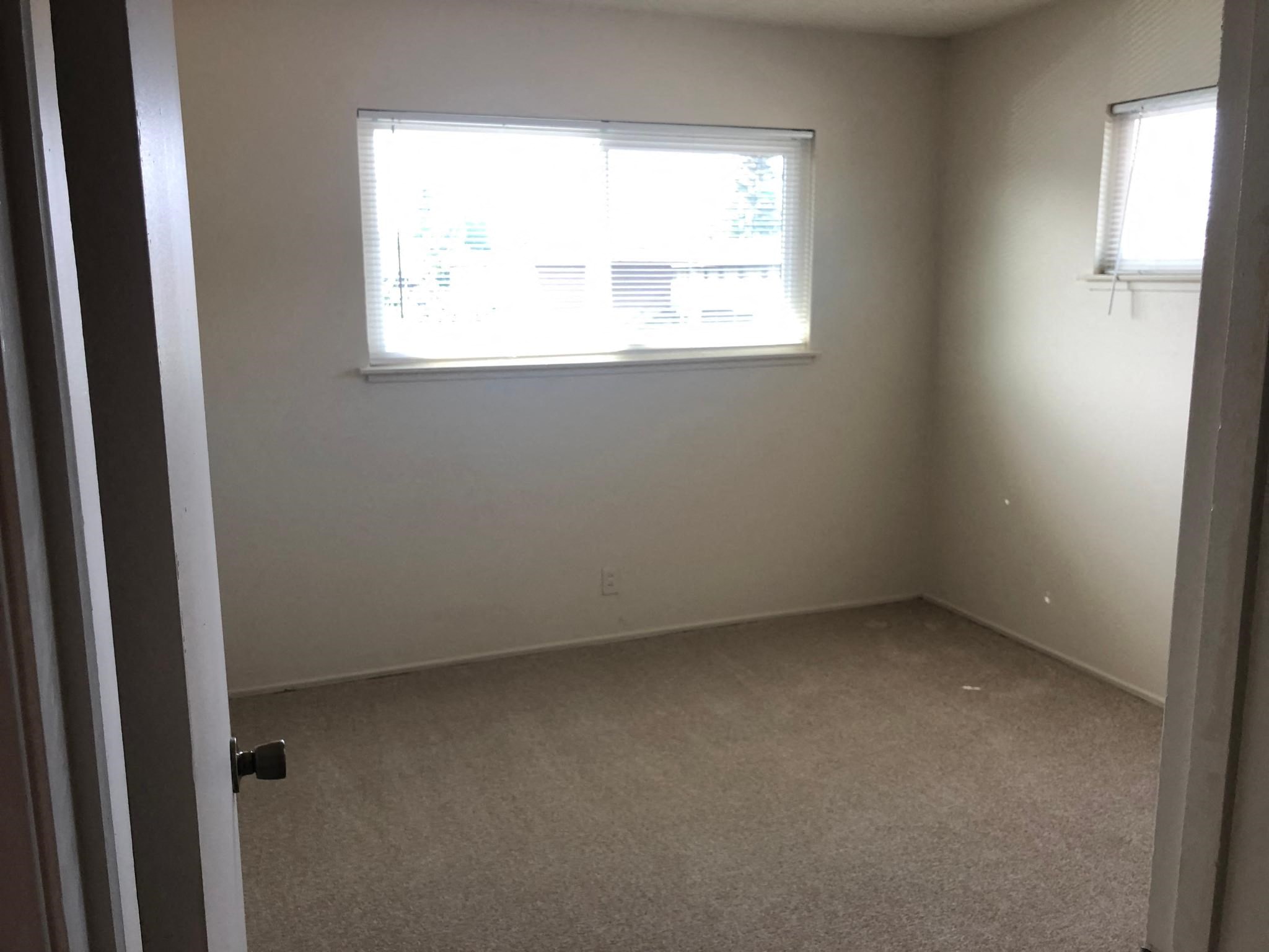 Gallery Photo 2