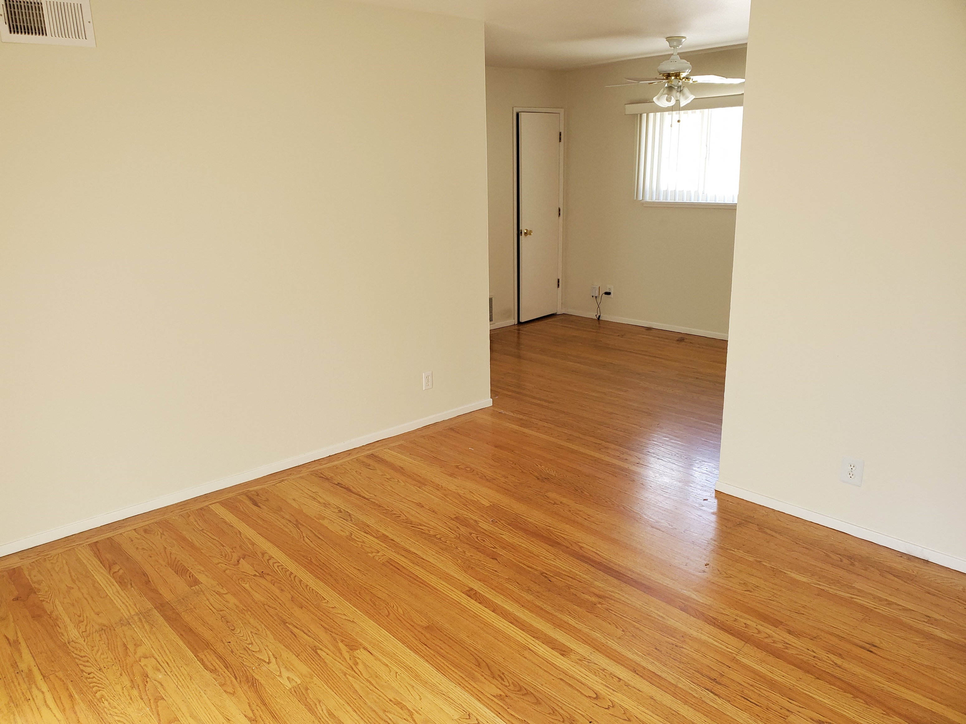 Gallery Photo 21