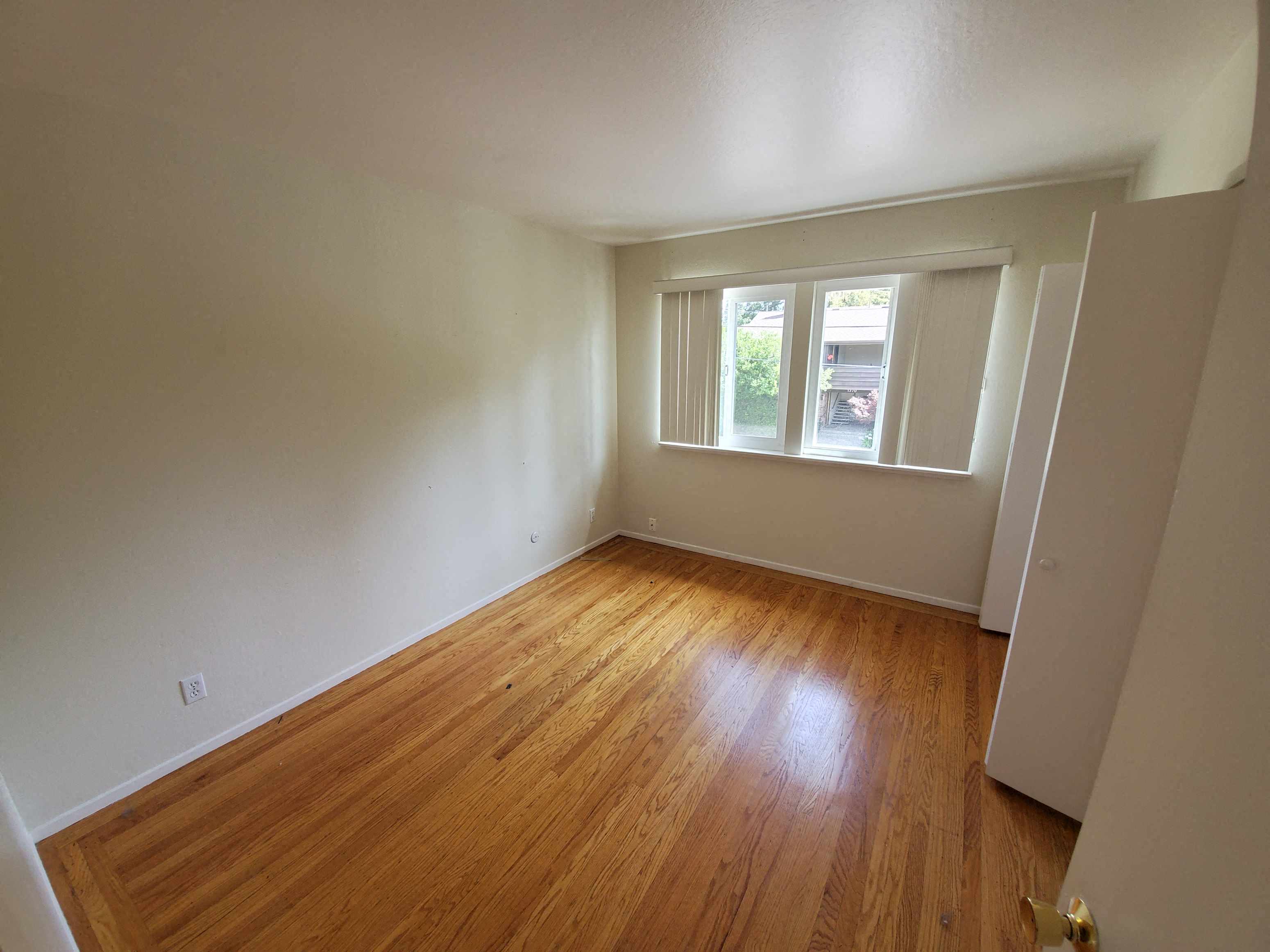 Gallery Photo 12