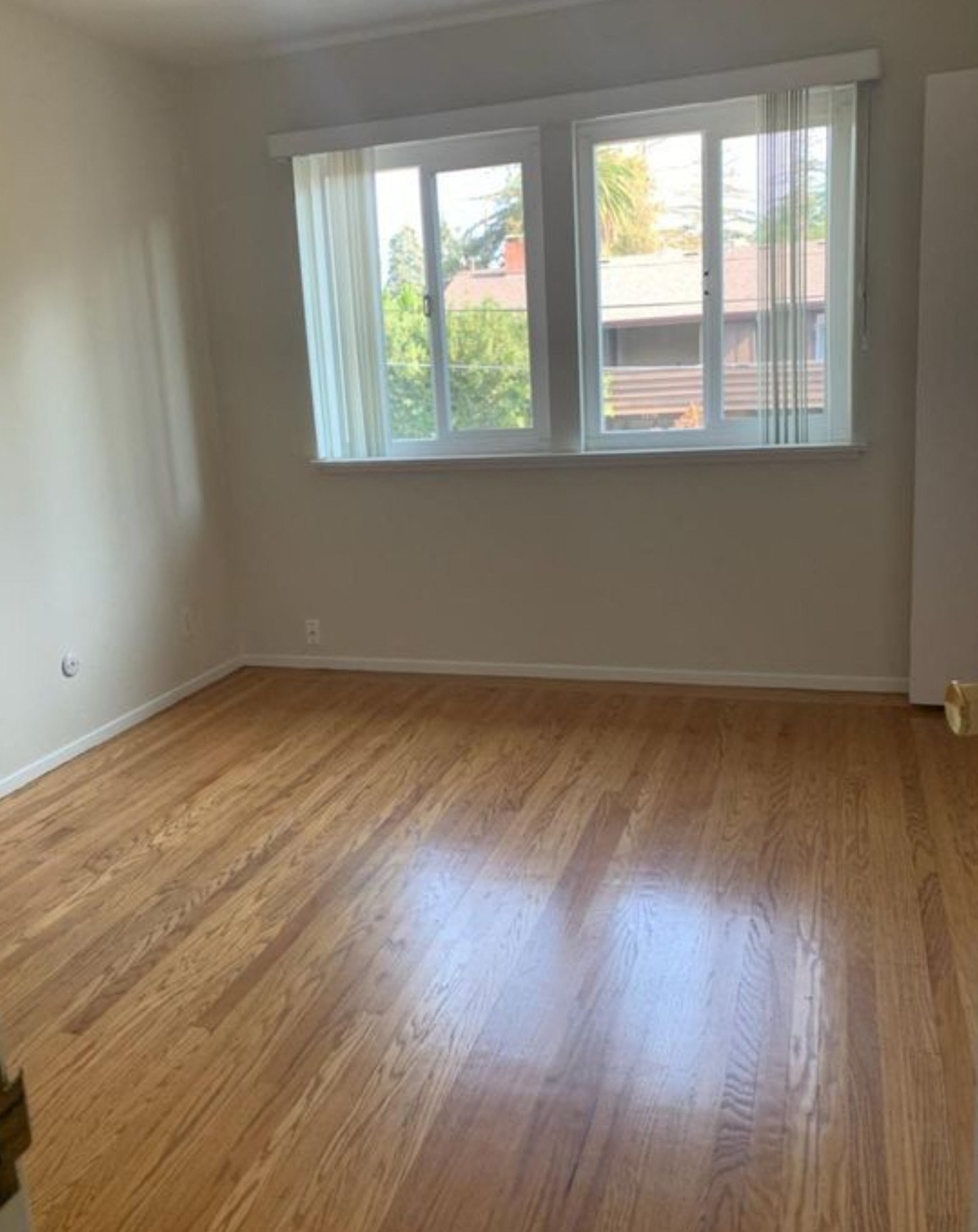 Gallery Photo 15