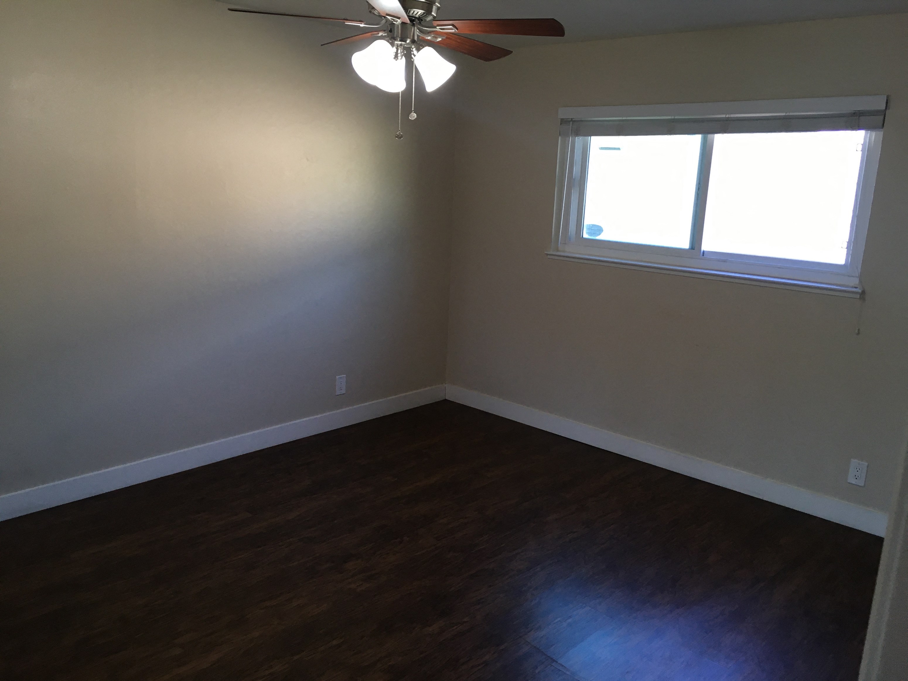 Gallery Photo 33