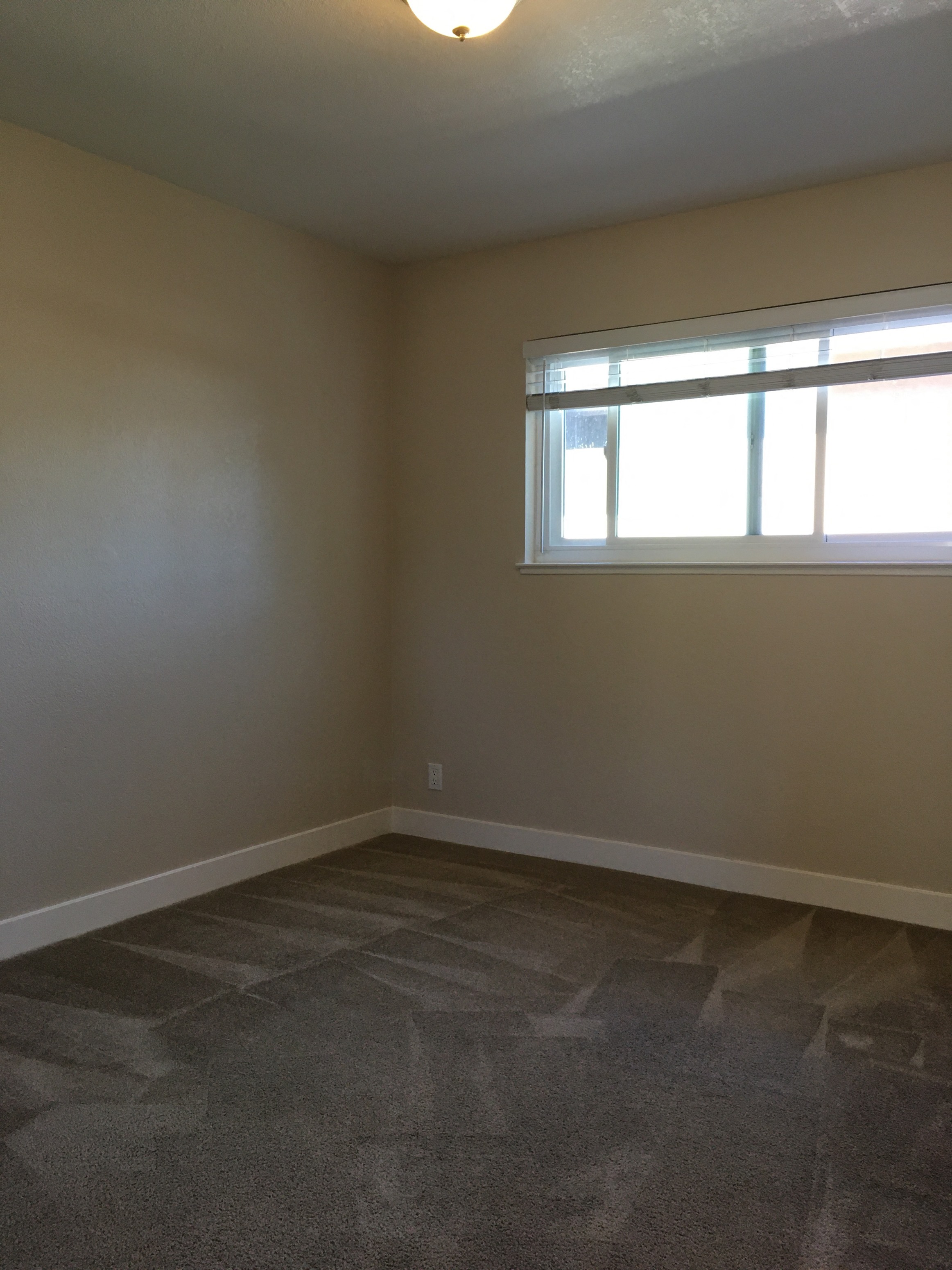 Gallery Photo 72