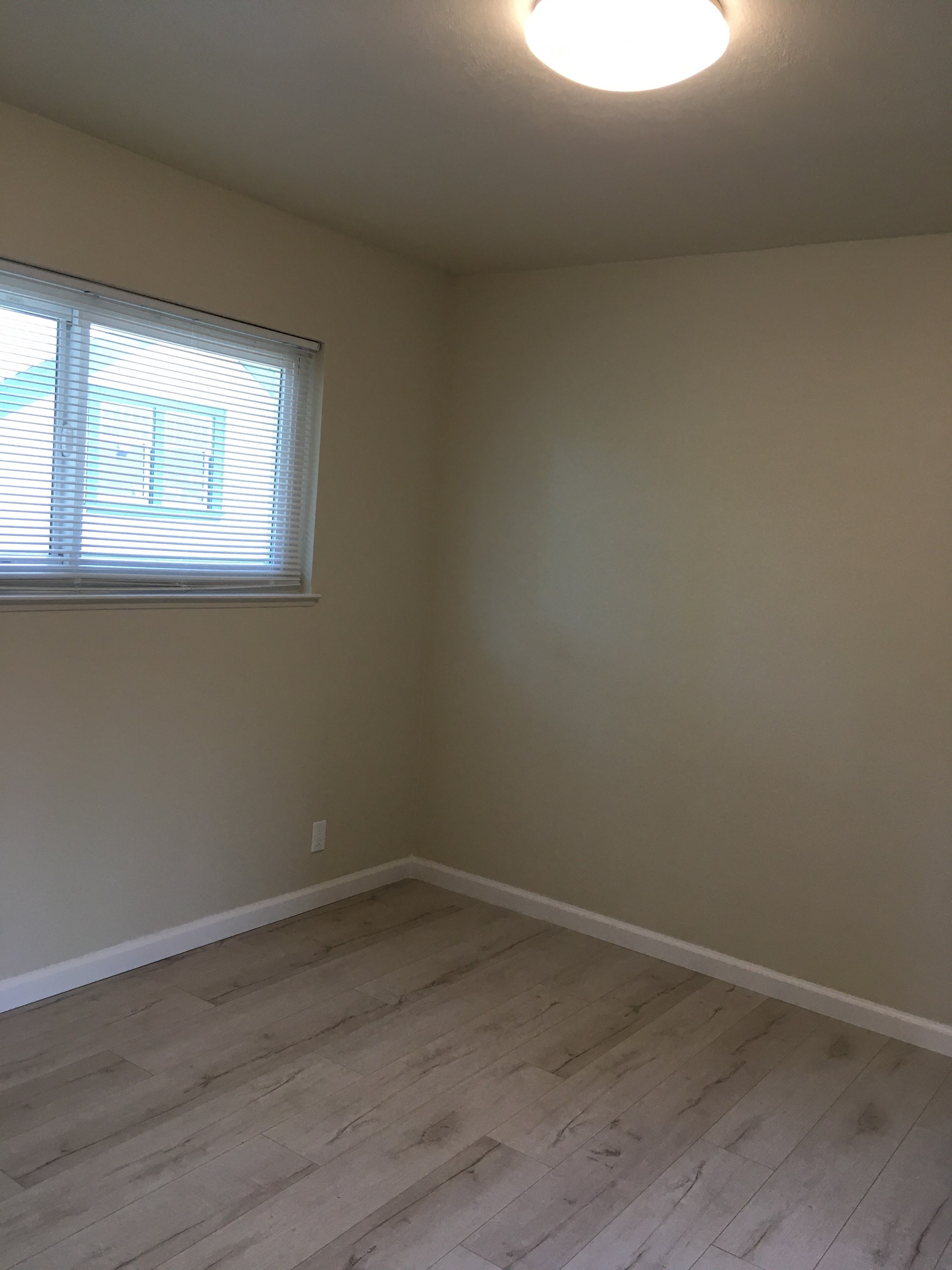 Gallery Photo 54