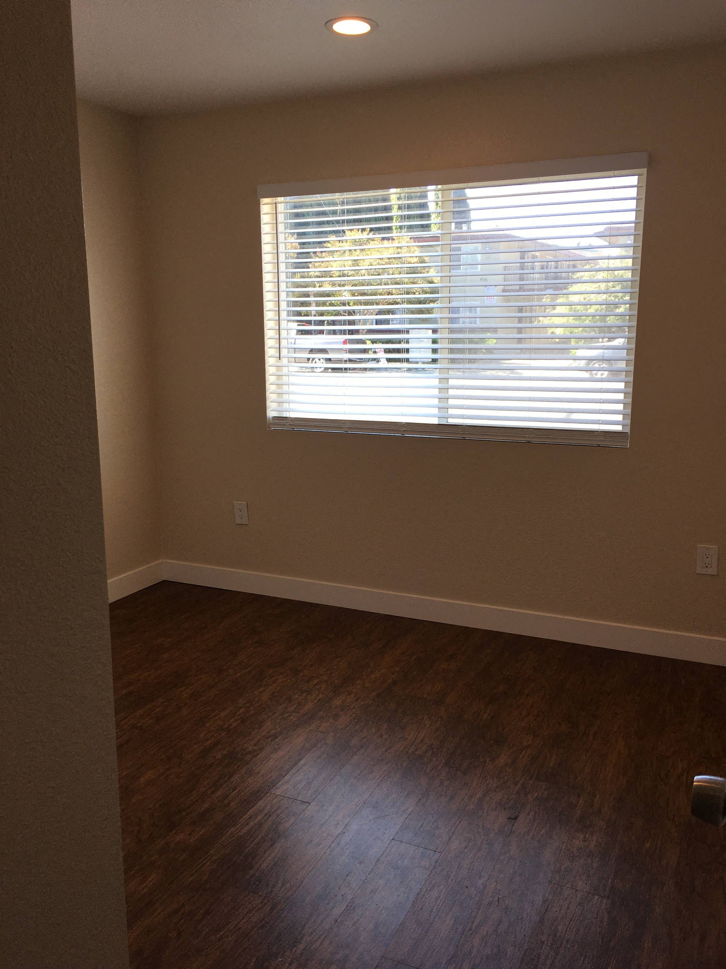 Gallery Photo 16