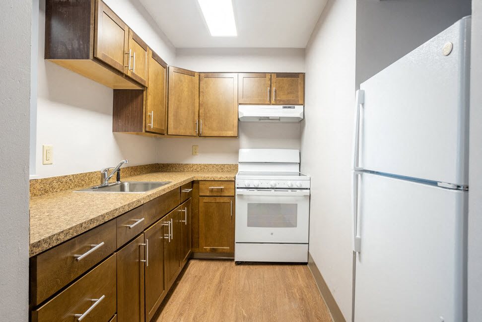 Gallery Photo 16