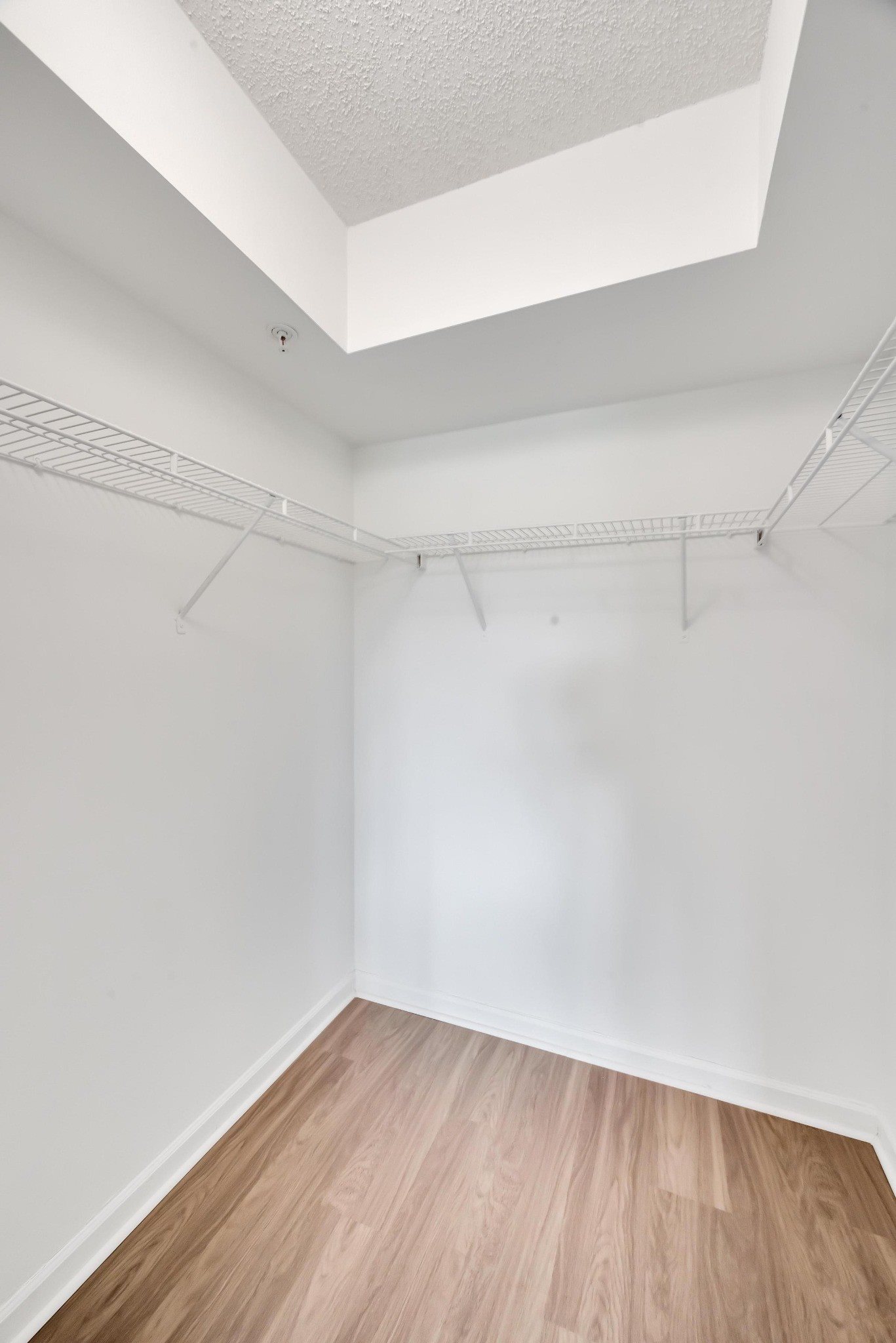 Gallery Photo 17