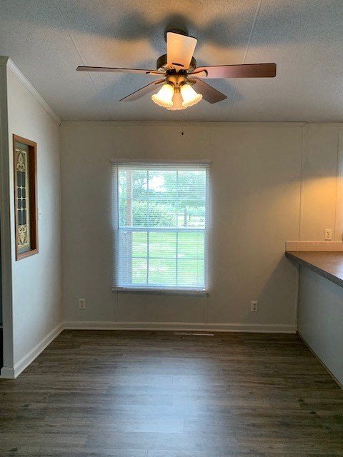 Gallery Photo 3