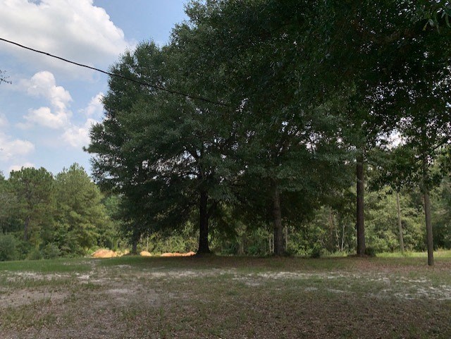 Gallery Photo 16
