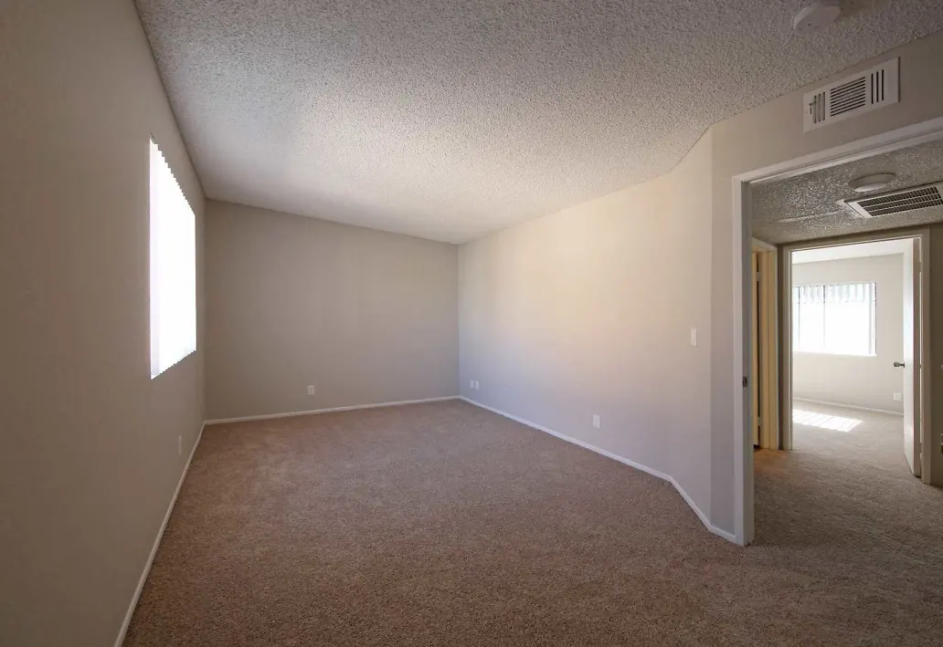 Gallery Photo 55
