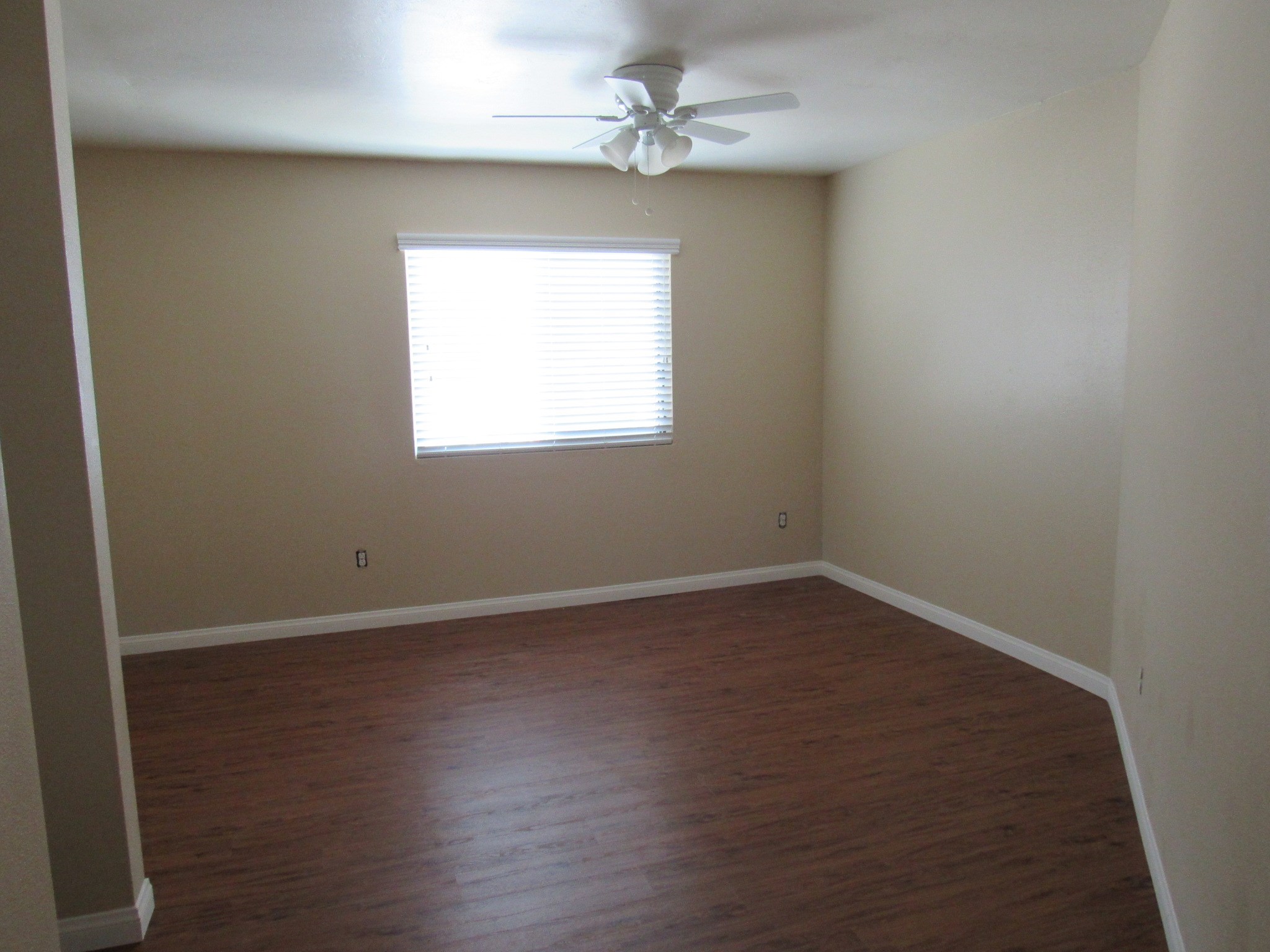 Gallery Photo 2