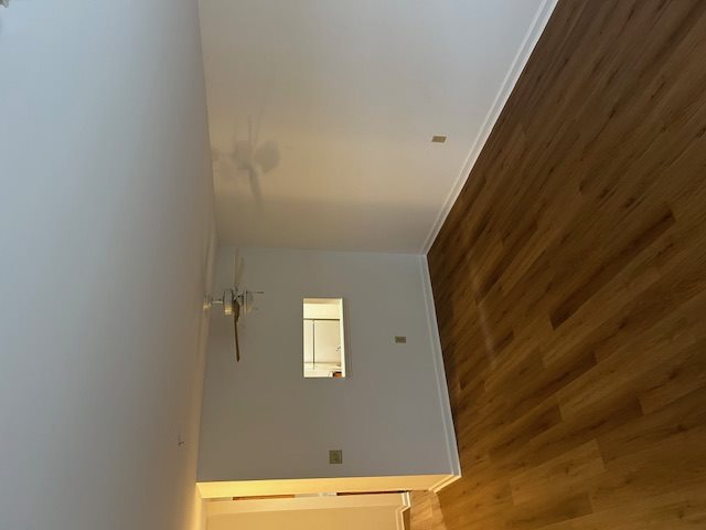 Gallery Photo 12