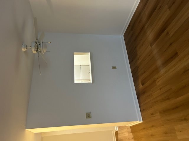 Gallery Photo 11