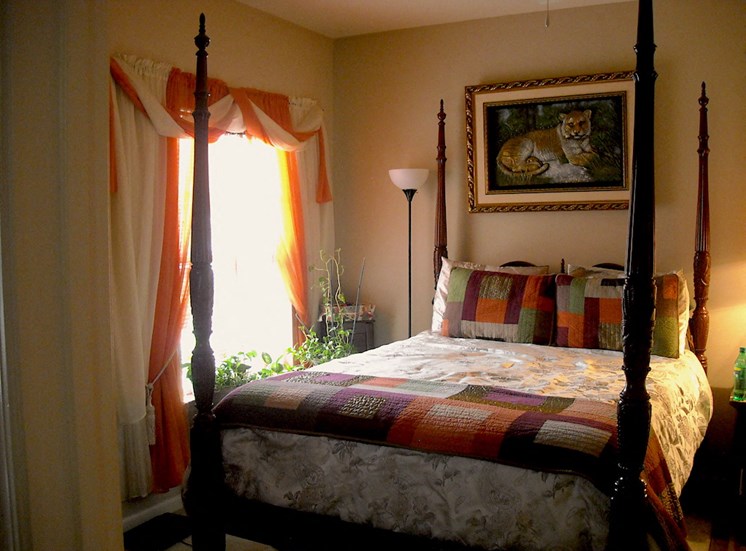 model furnished bedroom with natural light