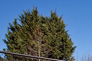 The Crossings Apartments In Eugene