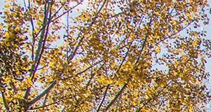 Fountains Apartments | Apartments in West Des Moines, IA