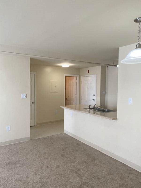 Gallery Photo 29