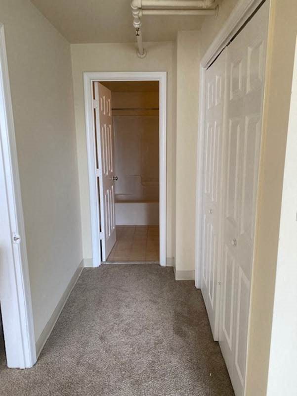 Gallery Photo 31