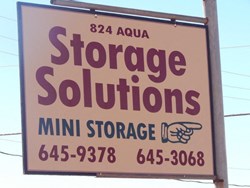 Image for 824 Aqua Avenue - Storage Solutions