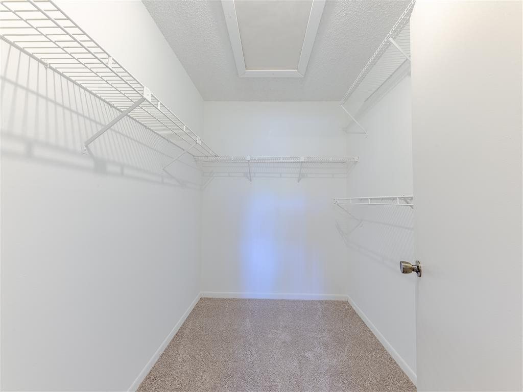Gallery Photo 49