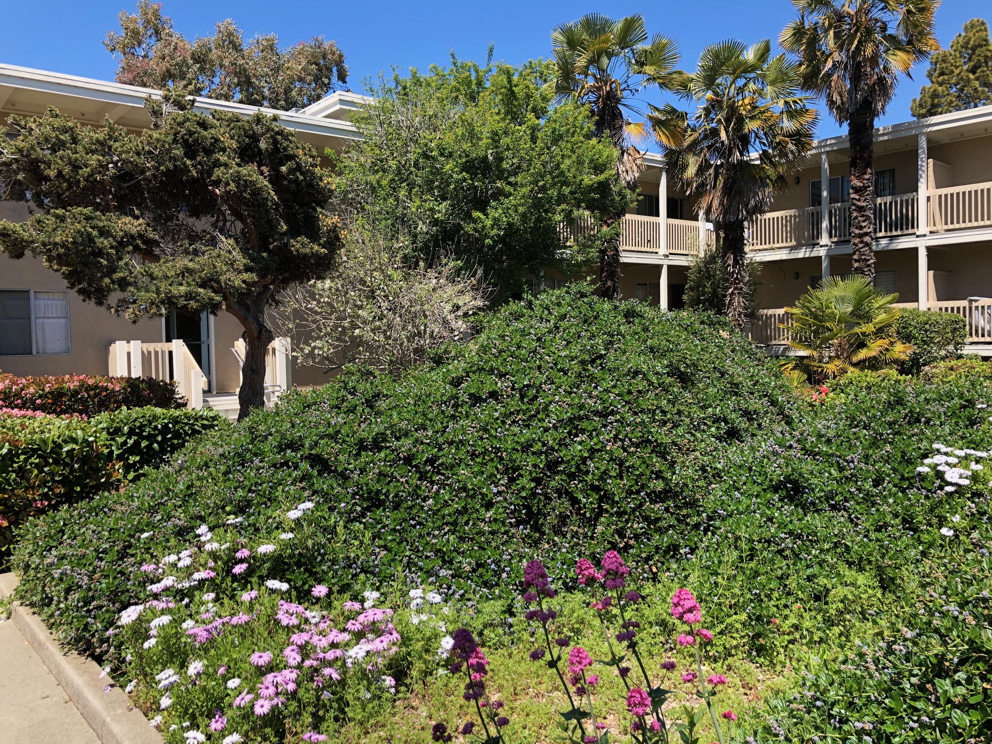 Photos and Video of Corcoran Gardens Apartments in Santa Cruz CA