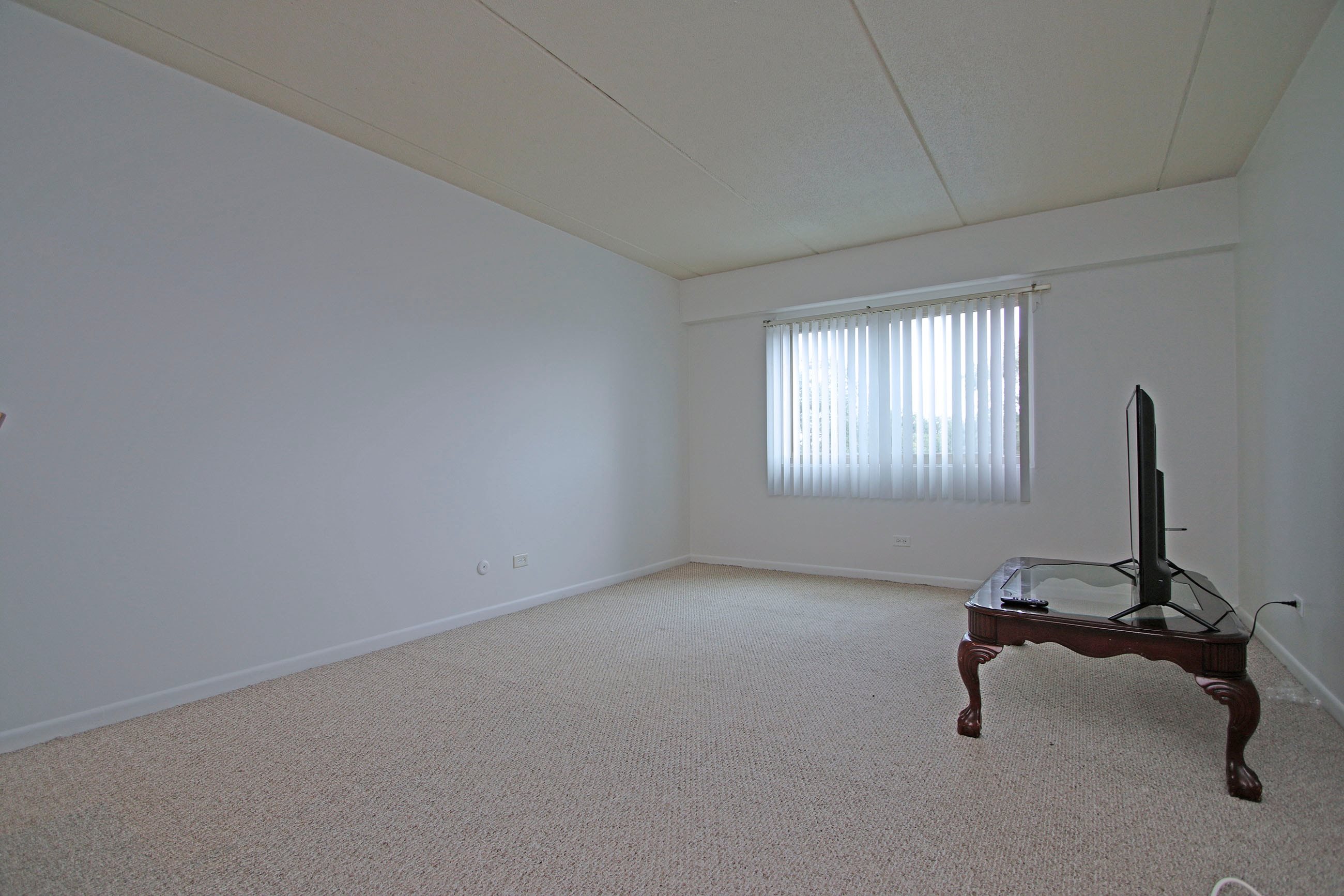 Gallery Photo 14