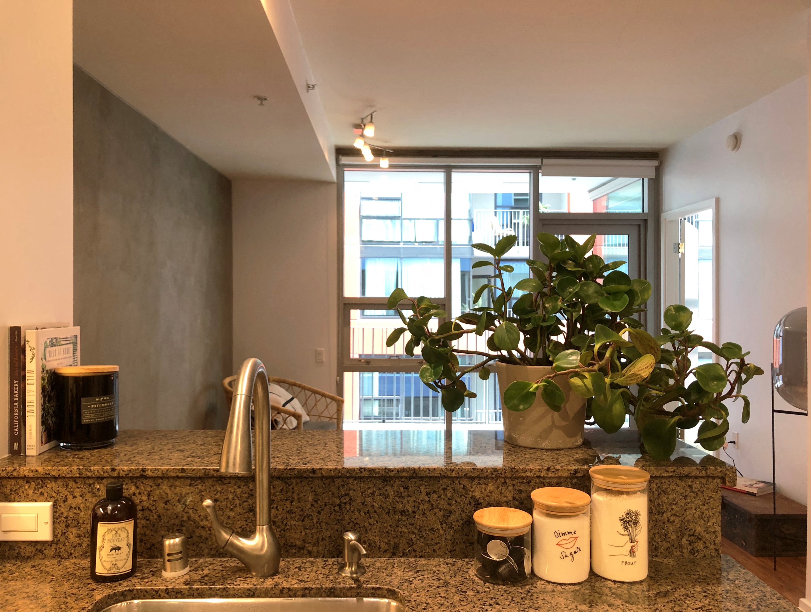 Gallery Photo 24