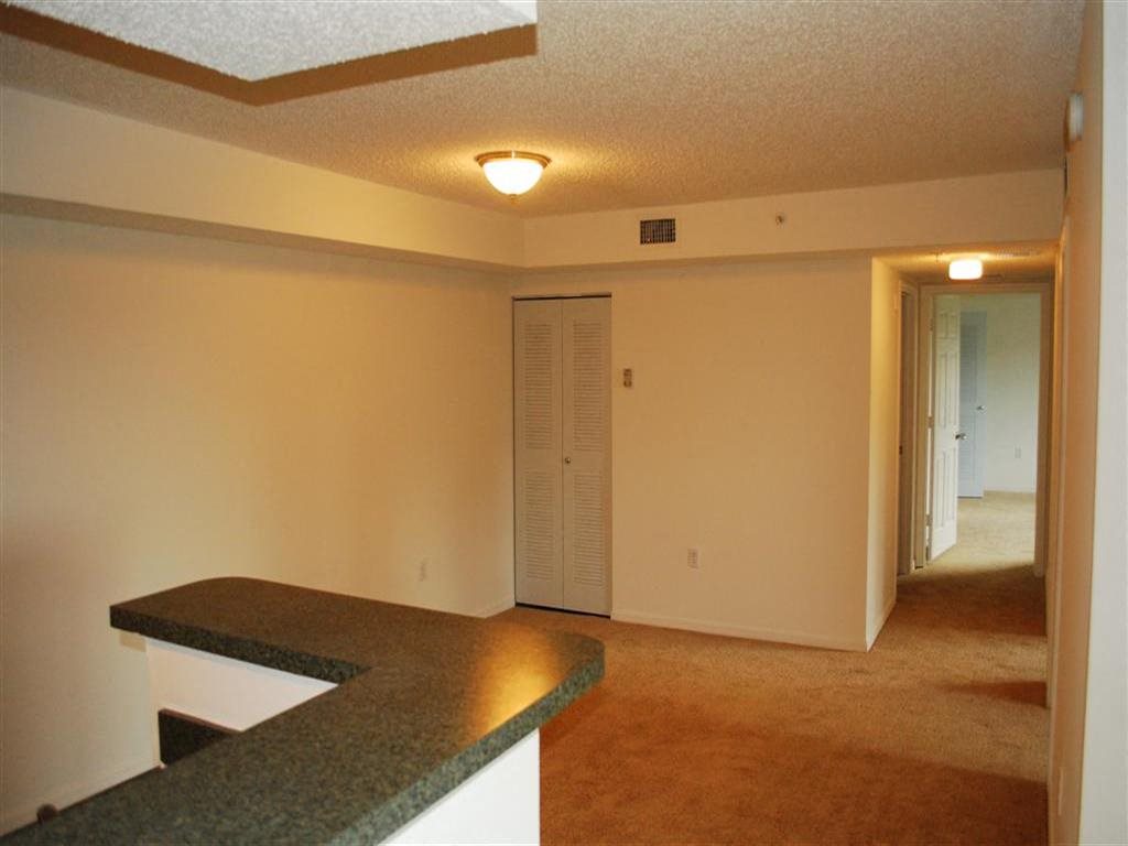 Gallery Photo 4